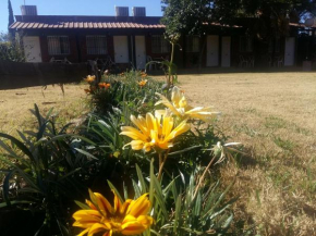 posada cerro los nogales, San Agustín De Valle Fértil